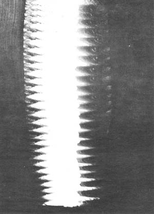 71_1_01.jpg