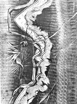 71_1_04.jpg