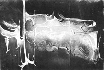71_2_04.jpg