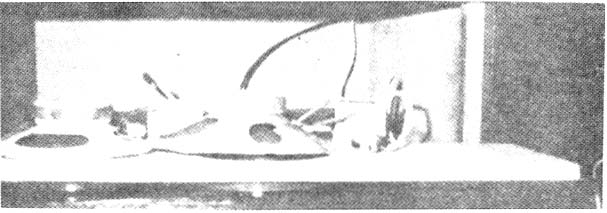 84_4_01.jpg