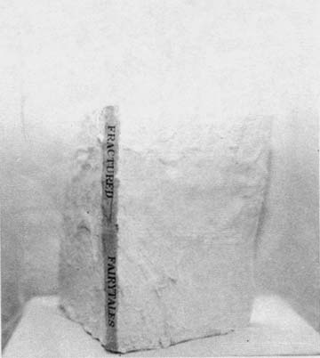 87_3_01.jpg