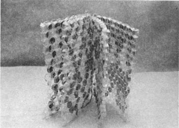 87_3_05.jpg